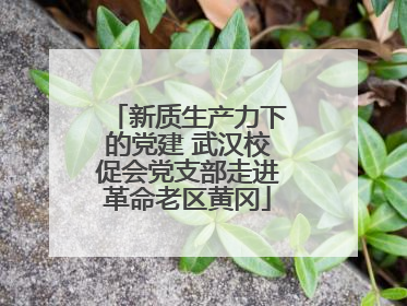 新质生产力下的党建 武汉校促会党支部走进革命老区黄冈