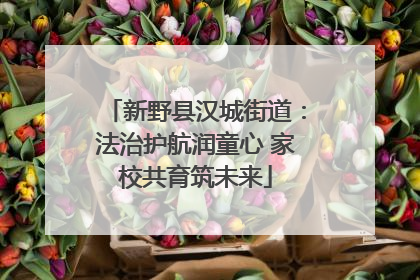 新野县汉城街道：法治护航润童心 家校共育筑未来