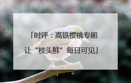 时评：高铁樱桃专厢 让“枝头鲜”每日可见
