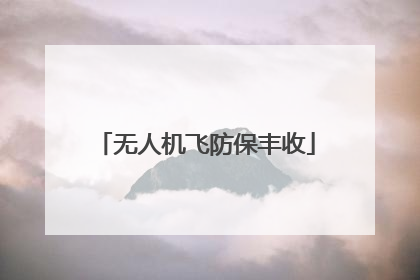 无人机飞防保丰收