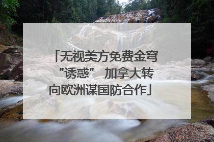 无视美方免费金穹“诱惑” 加拿大转向欧洲谋国防合作
