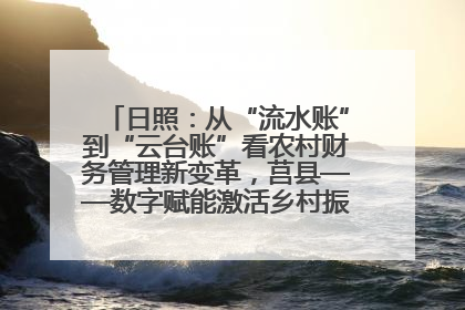 日照：从“流水账”到“云台账”看农村财务管理新变革，莒县——数字赋能激活乡村振兴“一池春水”