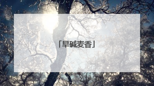 旱碱麦香