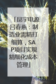 昆宇电源吕春燕：制造业需精打细算，SAP项目实现精细化成本管理