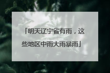明天辽宁省有雨，这些地区中雨大雨暴雨