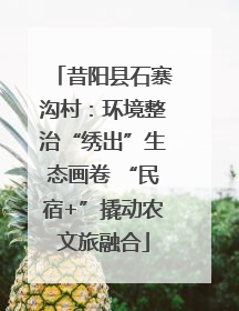 昔阳县石寨沟村：环境整治“绣出”生态画卷 “民宿+”撬动农文旅融合