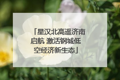 星汉北高遥济南启航 激活钢城低空经济新生态