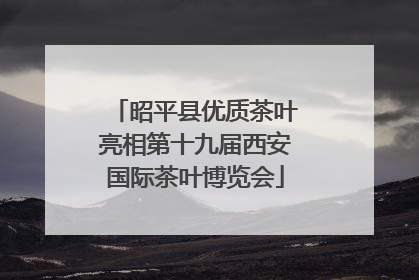 昭平县优质茶叶亮相第十九届西安国际茶叶博览会