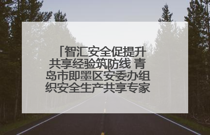 智汇安全促提升 共享经验筑防线 青岛市即墨区安委办组织安全生产共享专家现场观摩学习活动