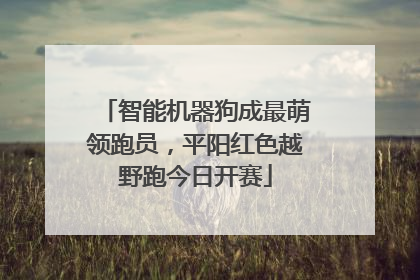智能机器狗成最萌领跑员，平阳红色越野跑今日开赛