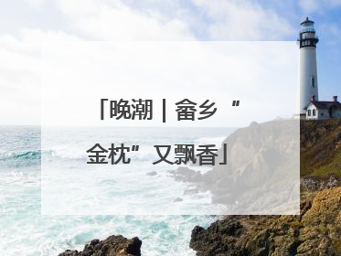 晚潮｜畲乡“金枕”又飘香
