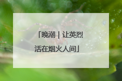 晚潮｜让英烈活在烟火人间