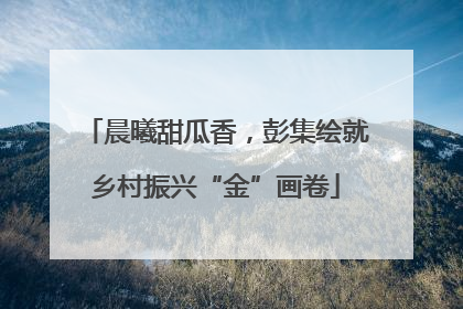 晨曦甜瓜香，彭集绘就乡村振兴“金”画卷