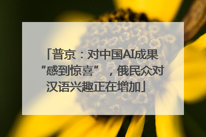 普京：对中国AI成果“感到惊喜”，俄民众对汉语兴趣正在增加