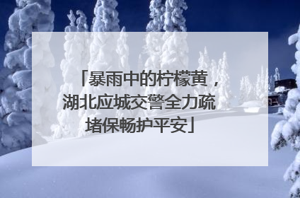 暴雨中的柠檬黄，湖北应城交警全力疏堵保畅护平安