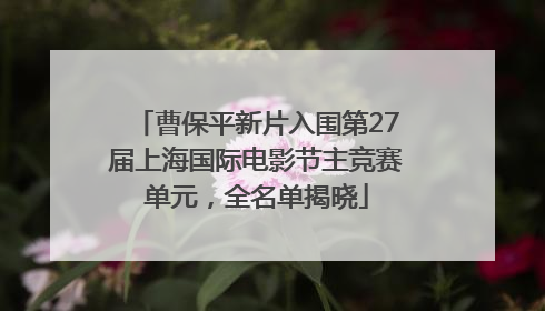曹保平新片入围第27届上海国际电影节主竞赛单元，全名单揭晓