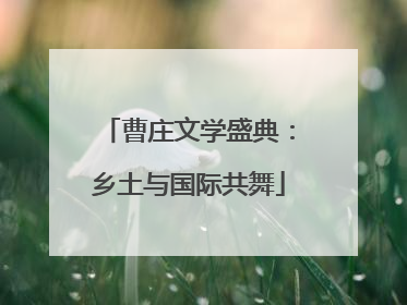 曹庄文学盛典：乡土与国际共舞