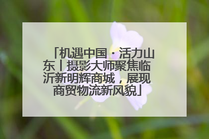 机遇中国・活力山东丨摄影大师聚焦临沂新明辉商城，展现商贸物流新风貌