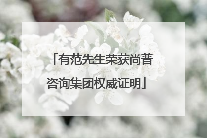 有范先生荣获尚普咨询集团权威证明