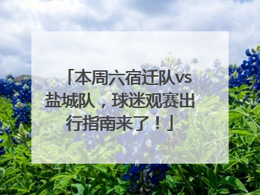 本周六宿迁队vs盐城队，球迷观赛出行指南来了！