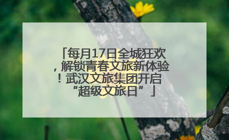 每月17日全城狂欢，解锁青春文旅新体验！武汉文旅集团开启 “超级文旅日”