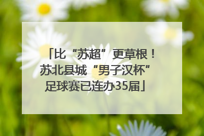 比“苏超”更草根！苏北县城“男子汉杯”足球赛已连办35届