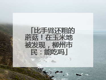 比手臂还粗的蘑菇！在玉米地被发现，柳州市民：能吃吗