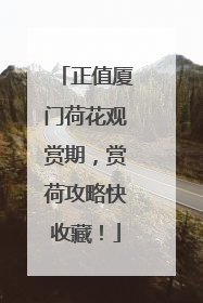 正值厦门荷花观赏期，赏荷攻略快收藏！
