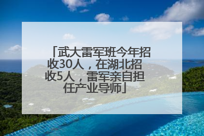 武大雷军班今年招收30人，在湖北招收5人，雷军亲自担任产业导师