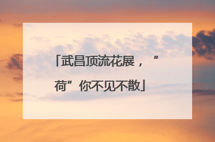 武昌顶流花展，“荷”你不见不散