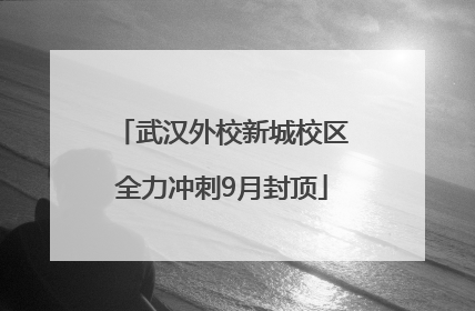 武汉外校新城校区全力冲刺9月封顶