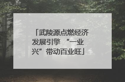 武陵源点燃经济发展引擎 “一业兴”带动百业旺
