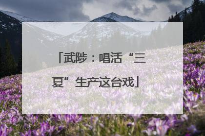 武陟：唱活“三夏”生产这台戏