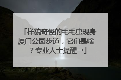 样貌奇怪的毛毛虫现身厦门公园步道，它们是啥？专业人士提醒→