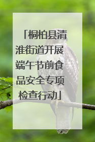 桐柏县清淮街道开展端午节前食品安全专项检查行动
