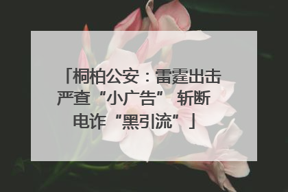 桐柏公安：雷霆出击严查“小广告” 斩断电诈“黑引流”