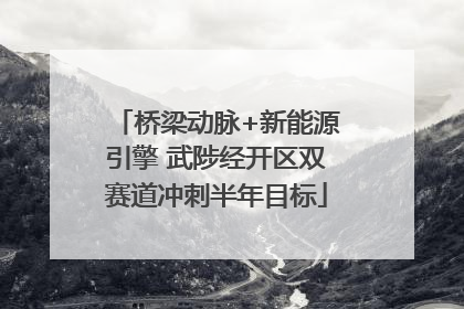 桥梁动脉+新能源引擎 武陟经开区双赛道冲刺半年目标