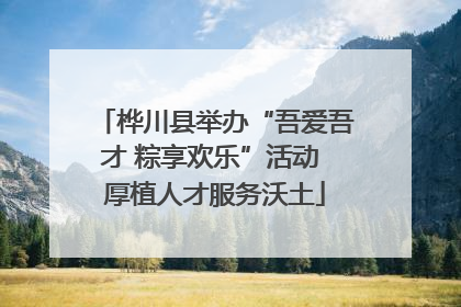 桦川县举办“吾爱吾才 粽享欢乐”活动 厚植人才服务沃土