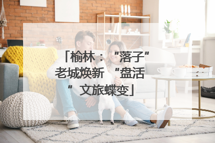 榆林：“落子”老城焕新 “盘活”文旅蝶变
