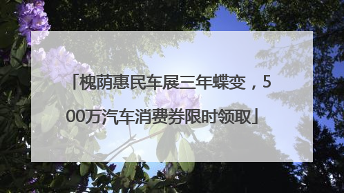槐荫惠民车展三年蝶变，500万汽车消费券限时领取