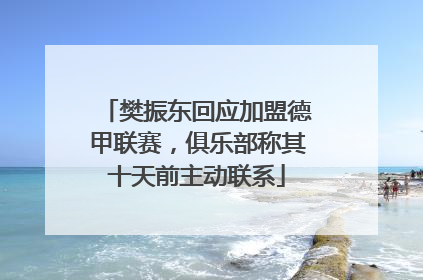樊振东回应加盟德甲联赛，俱乐部称其十天前主动联系