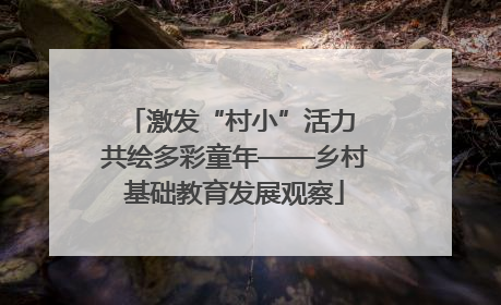 激发“村小”活力 共绘多彩童年——乡村基础教育发展观察