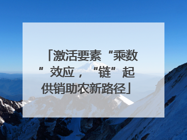 激活要素“乘数”效应，“链”起供销助农新路径