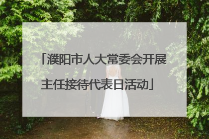 濮阳市人大常委会开展主任接待代表日活动