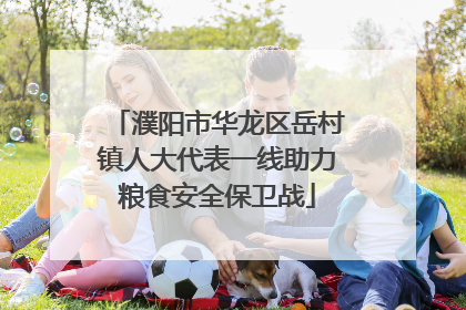 濮阳市华龙区岳村镇人大代表一线助力粮食安全保卫战