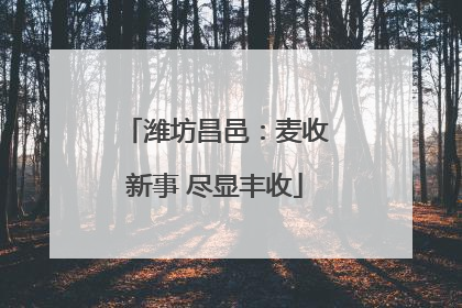 潍坊昌邑：麦收新事 尽显丰收