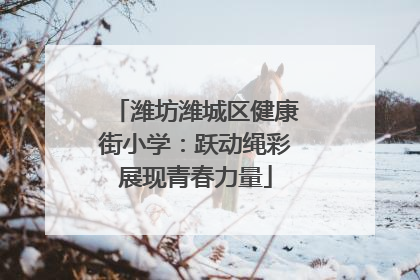 潍坊潍城区健康街小学：跃动绳彩展现青春力量