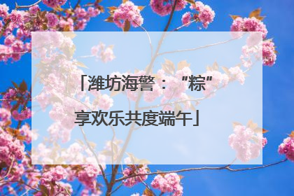 潍坊海警：“粽”享欢乐共度端午