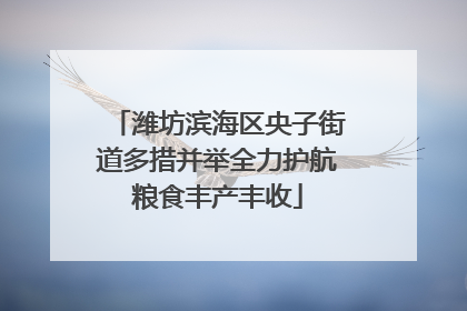 潍坊滨海区央子街道多措并举全力护航粮食丰产丰收