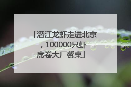潜江龙虾走进北京，100000只虾席卷大厂餐桌